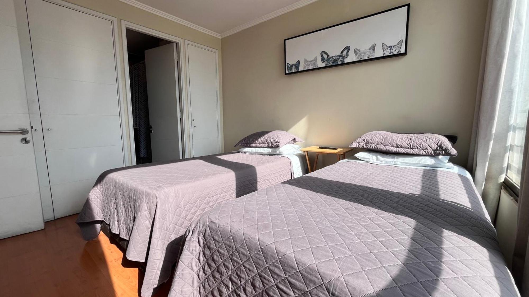Apartamentos City Centro Manuel Montt Santiago Luaran gambar