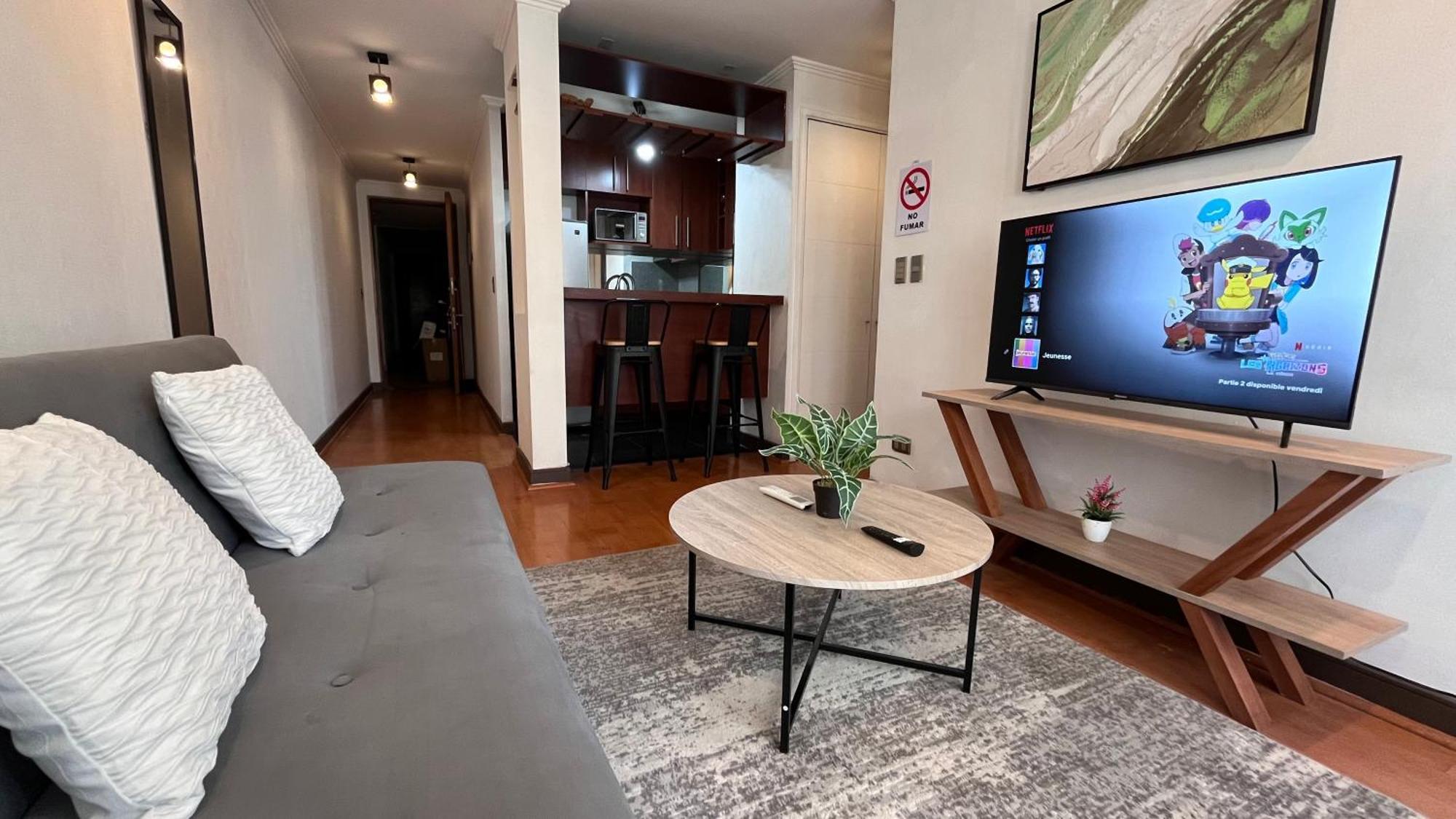 Apartamentos City Centro Manuel Montt Santiago Luaran gambar