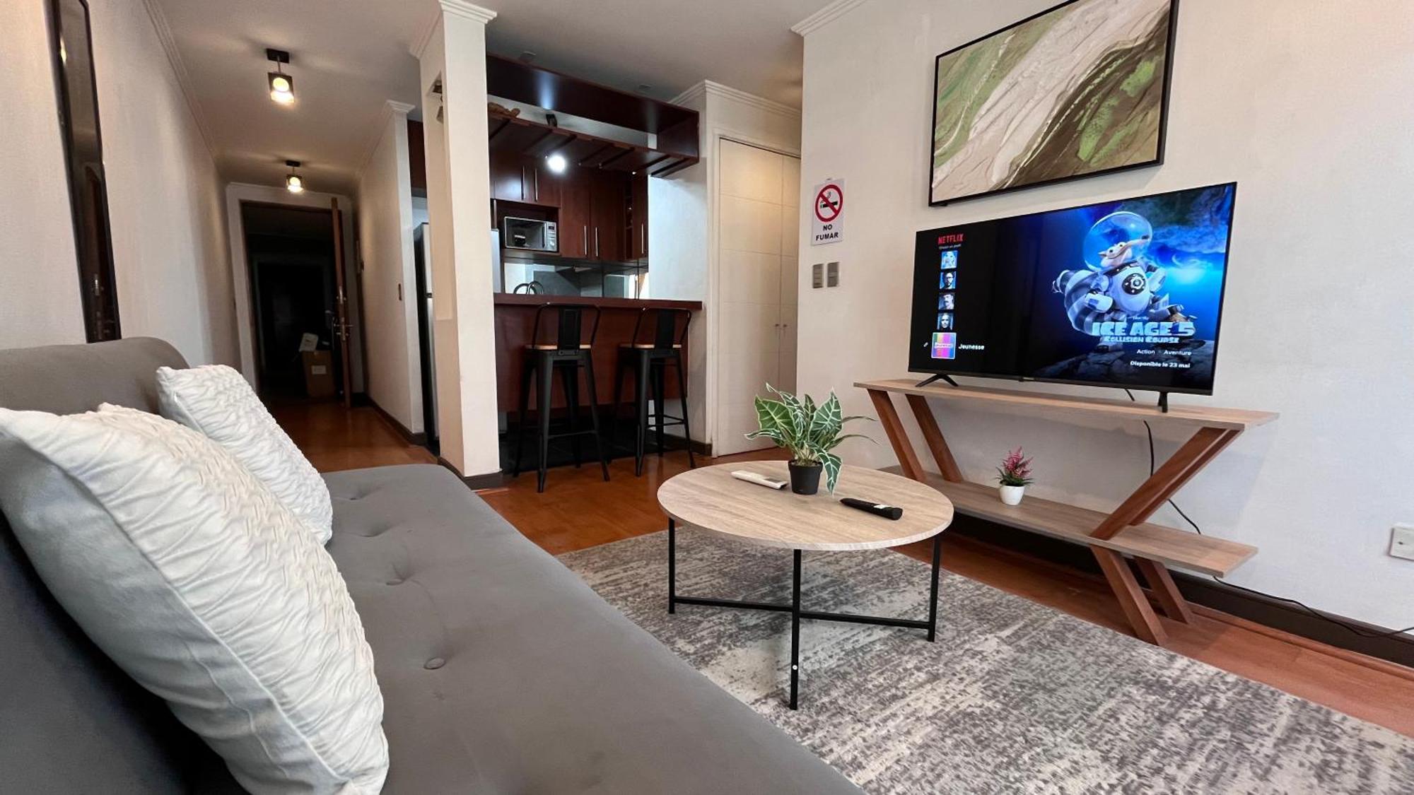 Apartamentos City Centro Manuel Montt Santiago Luaran gambar